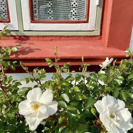 Charming House With Sea View On Langeland